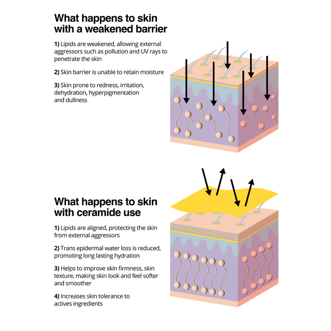 Ceramide Fix Cleansing Balm